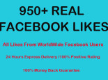 I will add 900 Real Facebook likes for your fanpage