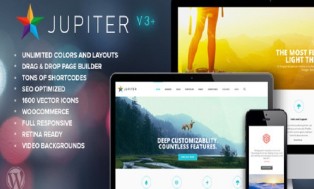 I will give 3 popular WordPress themes