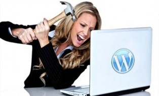 I can fix any WordPress related issue